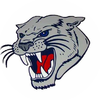 Small_cougar_with_blue_eyes